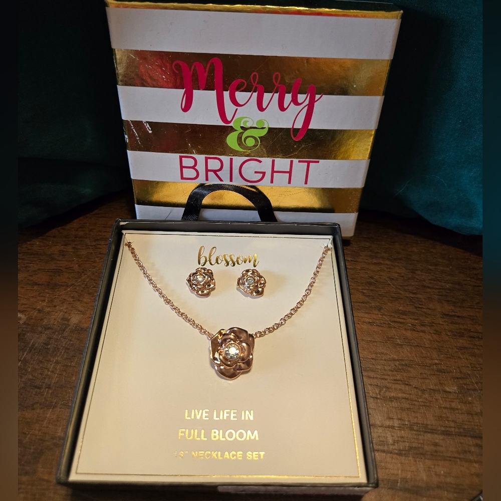 NIB Necklace and earrings set